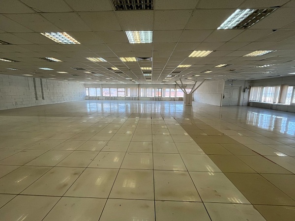 Аренда Помещение свободного назначения 240 кв.м., ул. Профсоюзная 3