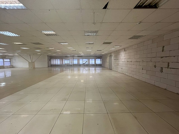 Помещение свободного назначения 161,39 кв.м., ул. Профсоюзная 3