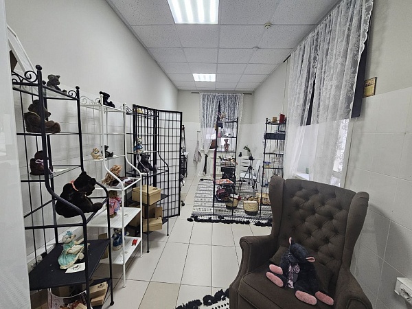 Помещение свободного назначения 16,7 кв.м., ул. Чайковского 19а