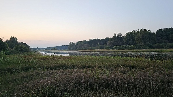 Земельный участок ИЖС 11,51 сот., дер. Ивакино, д. 4