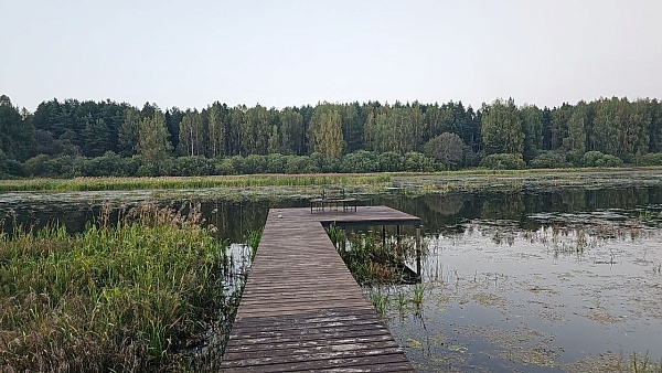 Земельный участок ИЖС 11,51 сот., дер. Ивакино, д. 4